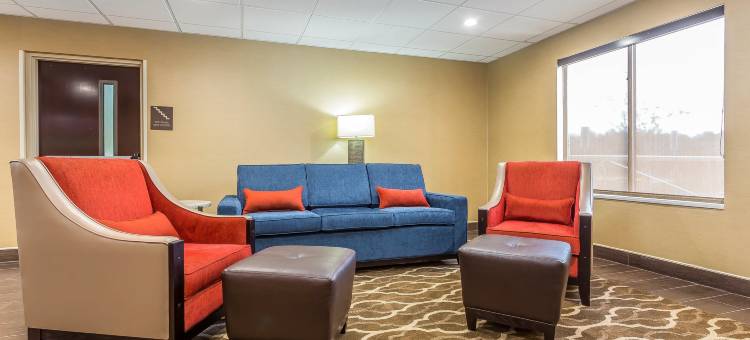 莫克斯维尔 I-40 舒适套房酒店(Comfort Inn & Suites Mocksville I-40)图片