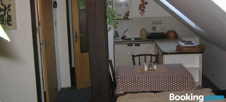 扎沃斯基酒店(Penzion Zavodsky)图片