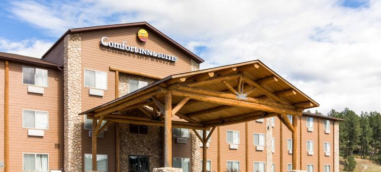 舒适套房酒店(Comfort Inn & Suites)图片