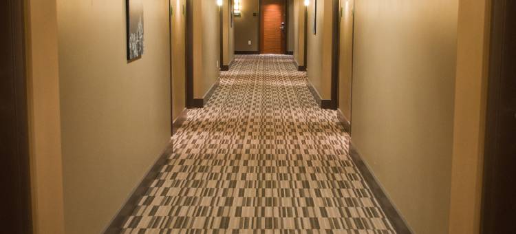 雷夫尔斯托克贝斯特韦斯特优质酒店(Best Western Plus Revelstoke)图片