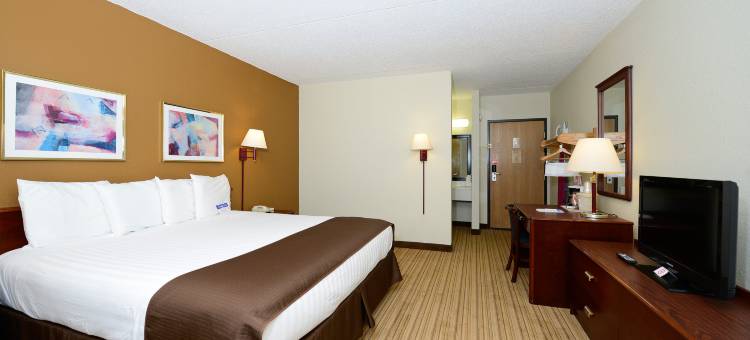 Best Western Plus Flint Airport Inn  Suites图片