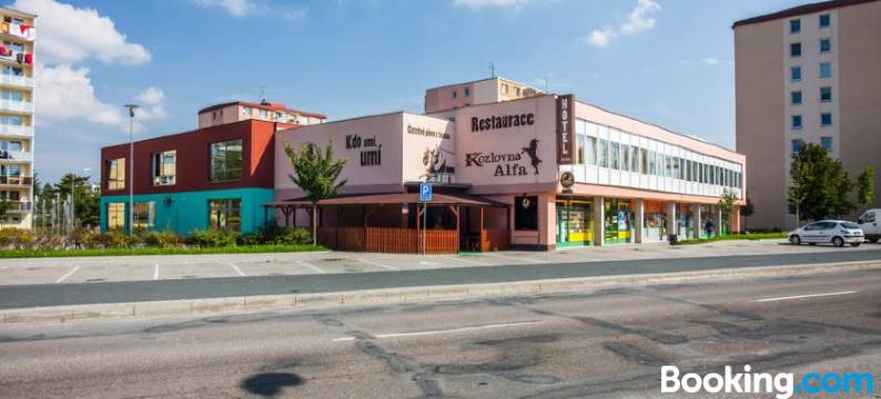 阿尔法酒店(Hotel Alfa)图片
