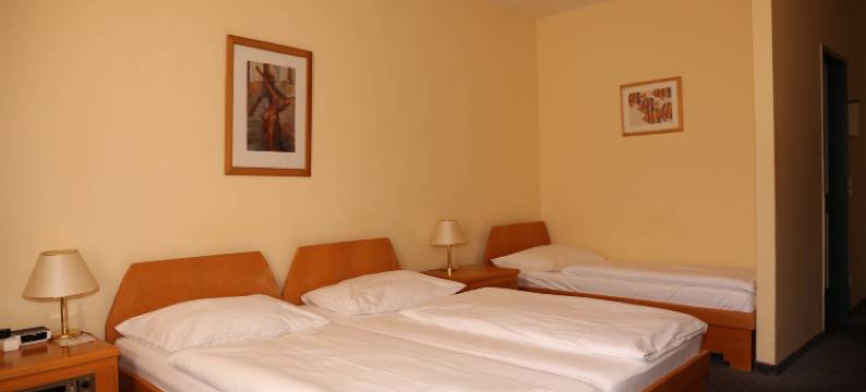 斯哥特珀恩特酒店(Hotel am Schottenpoint)图片