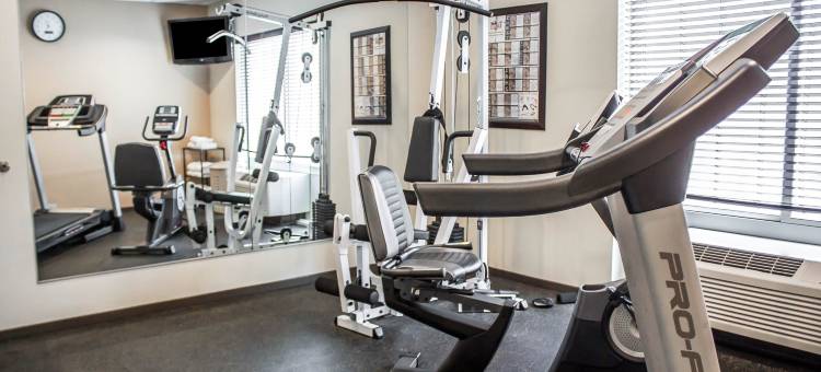 舒适酒店(Comfort Inn)图片