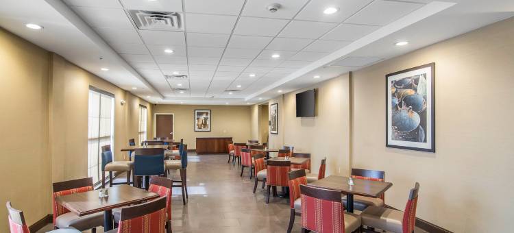 舒适套房酒店(Comfort Suites - Dodge City)图片