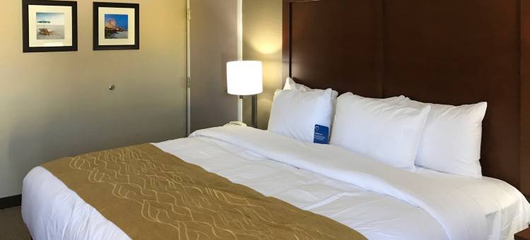 北默特尔海滩赤脚登陆舒适酒店(Comfort Inn N Myrtle Beach Barefoot Landing)图片