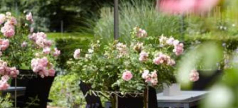 福斯特豪斯海利根贝格酒店(Forsthaus Heiligenberg)图片