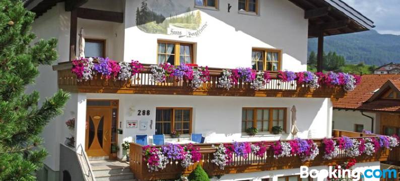 贝尔格菲力登膳食公寓(Apart Pension Bergfrieden)图片