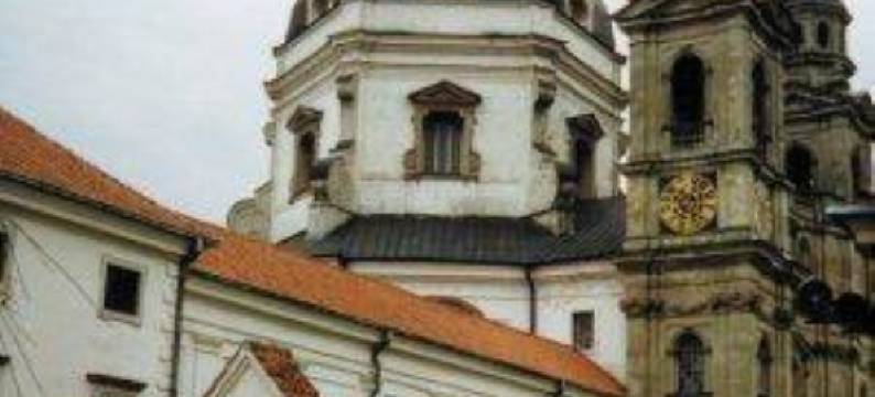 帕匝里斯公园酒店(Pažaislis Park Hotel)图片