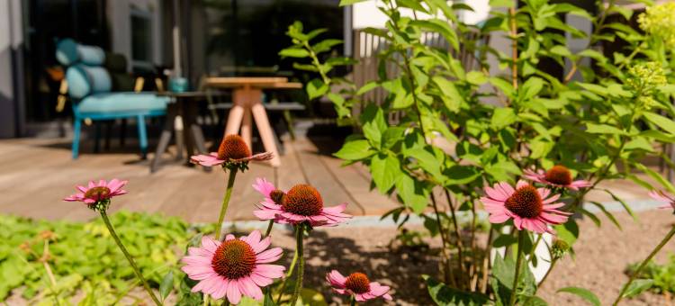 慕尼黑西区一号汽车旅馆(Motel One München-Westend)图片