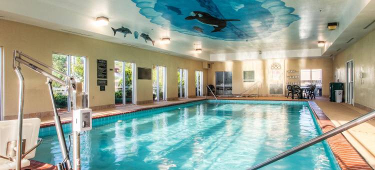 河闸商场舒适套房酒店(Comfort Suites at Rivergate Mall)图片