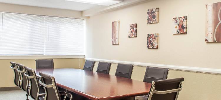 维斯塔尔宾汉顿近大学凯艺套房酒店(Quality Inn & Suites Vestal Binghamton Near University)图片