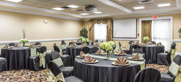 舒适套房酒店(Comfort Inn & Suites)图片