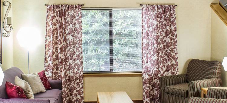 罗利北凯艺套房酒店(Quality Inn & Suites Raleigh North Raleigh)图片