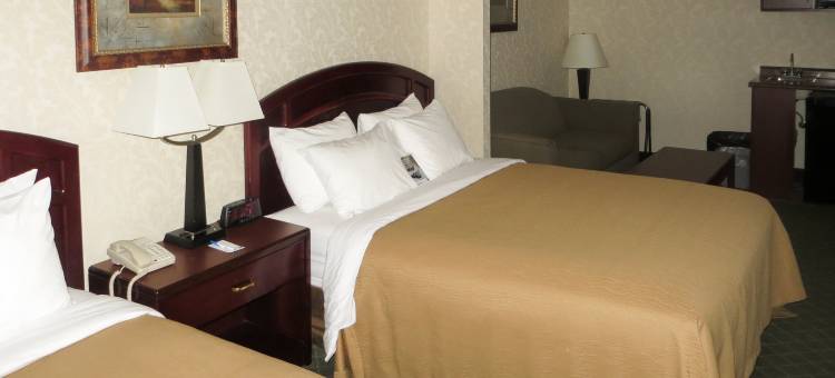 舒适套房酒店(Comfort Inn & Suites)图片