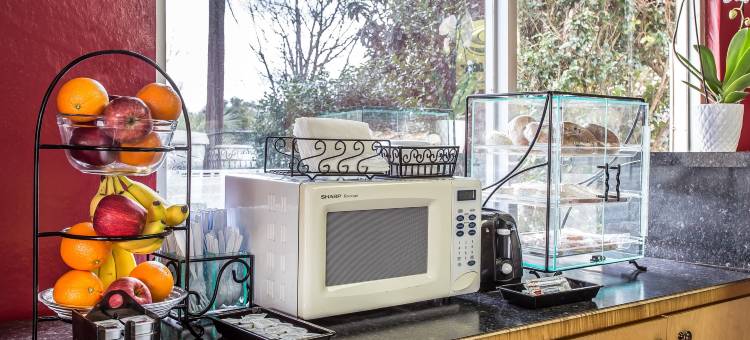 伊克诺旅馆(Econo-Lodge of Conway)图片