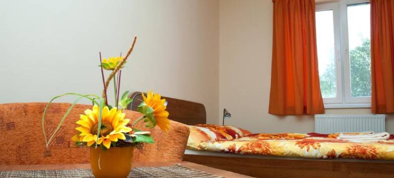 麦客斯旅馆(Penzión Max)图片