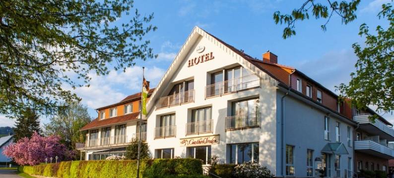 弗雷登兰迪伊尔酒店(Landidyll Hotel Zum Freden)图片