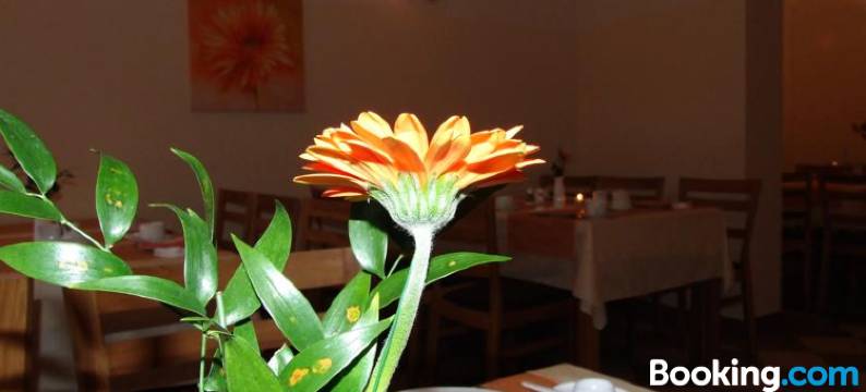 旧报纸酒店(Hotel Waren-Alte Warener Zeitung)图片