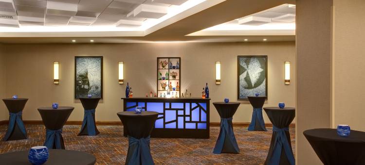 休斯顿乔治布什洲际机场万豪酒店(Houston Airport Marriott at George Bush InterContinental)图片