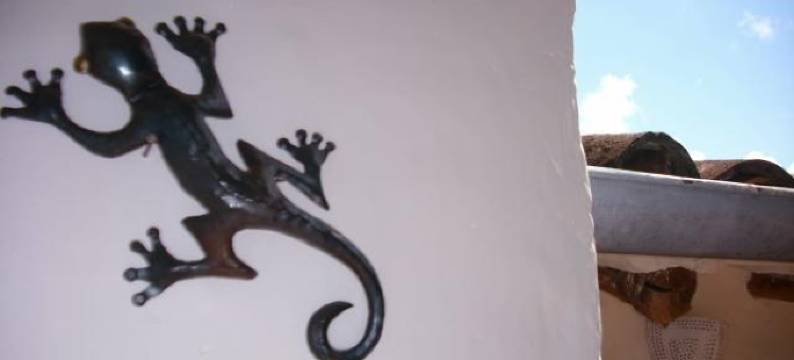 El Carambolo de Barichara图片