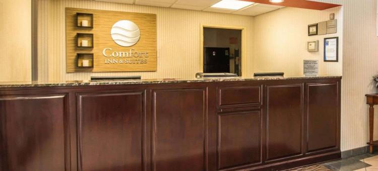 摩根顿舒适套房酒店(Comfort Inn & Suites)图片