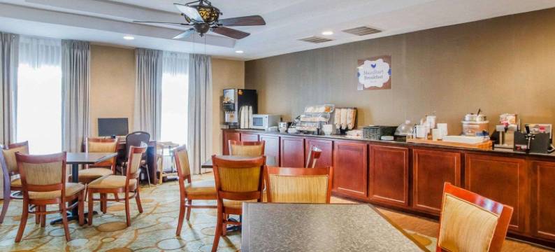 格兰德艾兰美茵斯坦套房酒店(MainStay Suites Grand Island)图片