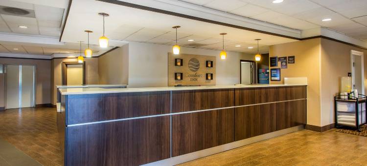 基西米舒适套房酒店-靠近公园(Comfort Inn & Suites Kissimmee by the Parks)图片