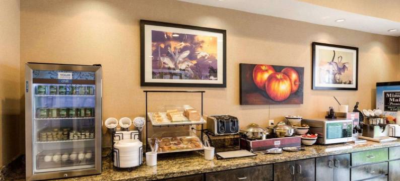 舒适套房酒店(Comfort Inn & Suites)图片