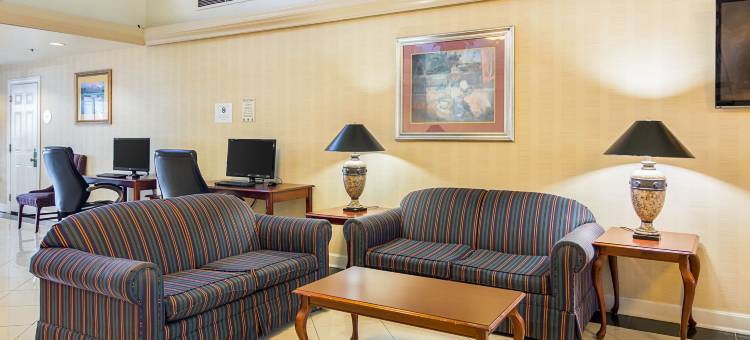 舒适酒店(Comfort Inn)图片