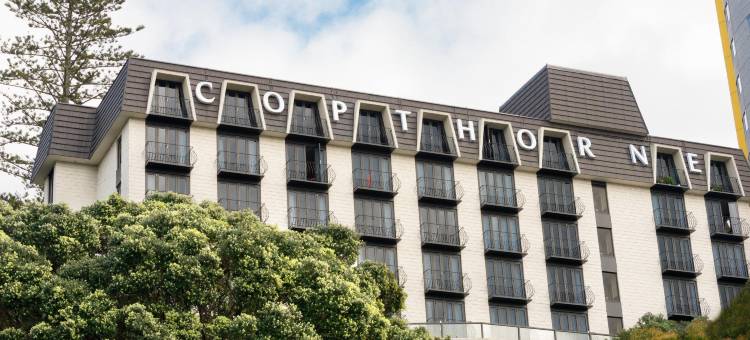 奥克兰国敦大酒店(Copthorne Hotel Auckland City)图片