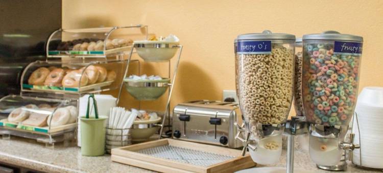 麦地那阿克伦西凯艺套房酒店(Quality Inn & Suites Medina - Akron West)图片