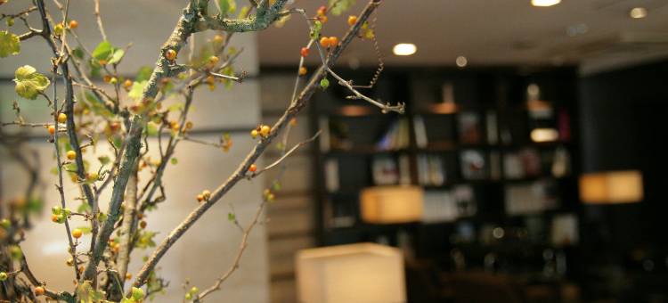 天神Plaza酒店(Plaza Hotel Tenjin)图片