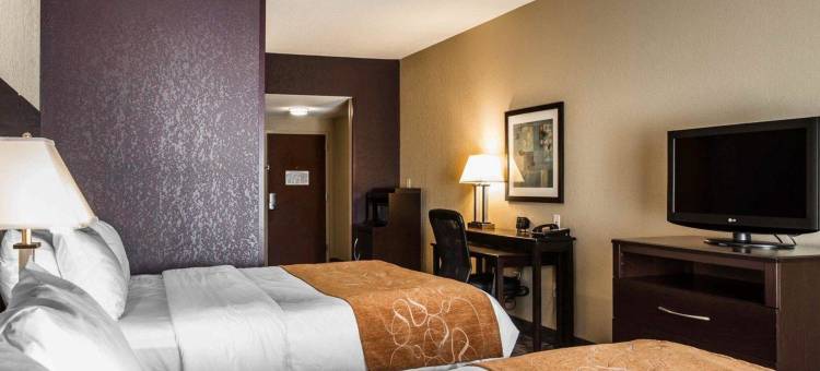舒适套房酒店-惠特塞特格林斯博罗东(Comfort Suites Whitsett - Greensboro East)图片