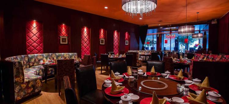 阿里斯塔帕拉姆邦酒店(The Arista Hotel Palembang)图片