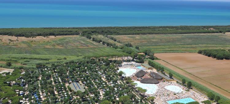 胡公园信天翁村(hu Park Albatros Village)图片