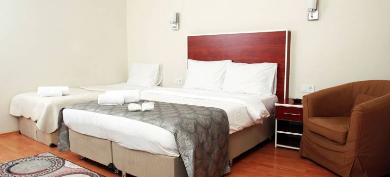 塔克西姆潘达公寓式酒店(Panda Suites Taksim)图片