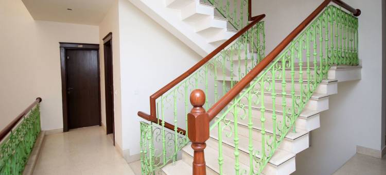 Collection O Sakshi图片