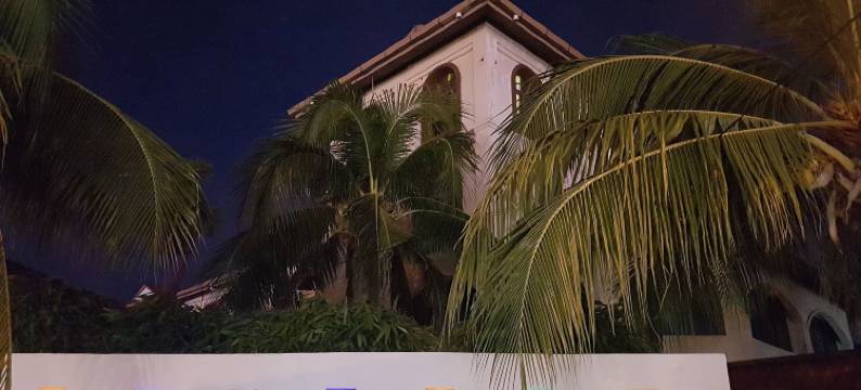 丁宜酒店及餐厅(D'Feringghi Hotel & Restaurant)图片