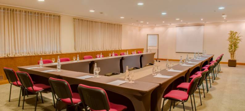 蓝树塔南卡希亚斯酒店(Blue Tree Towers Caxias do Sul)图片