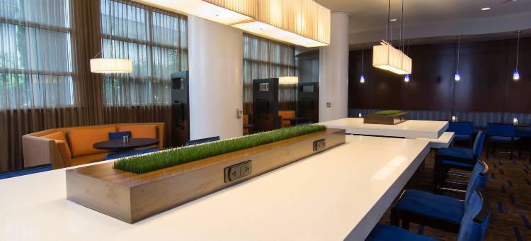 哥伦比亚市中心南加州大学万怡酒店(Courtyard Columbia Downtown at USC)图片