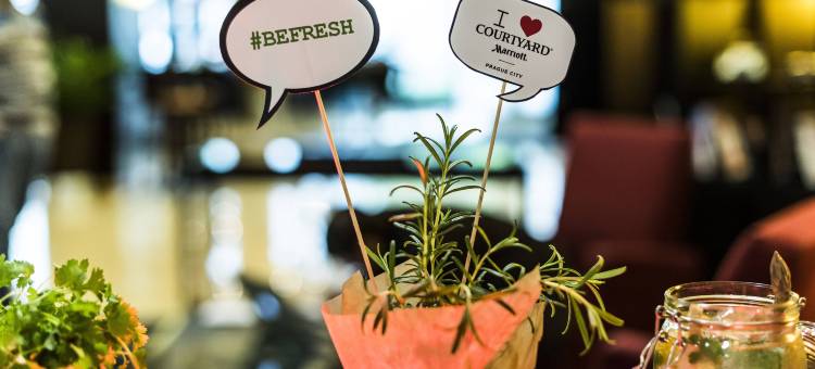 布拉格市万怡酒店(Courtyard Prague City)图片