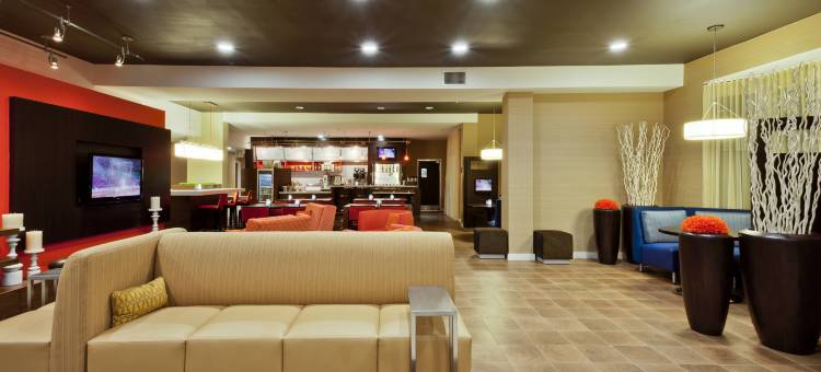 坦帕布兰登万怡酒店(Courtyard Tampa Brandon)图片