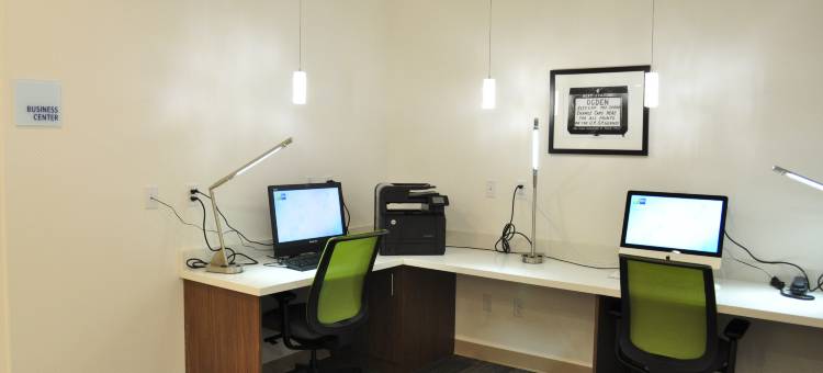 布莱斯智选假日套房酒店(Holiday Inn Express & Suites Price)图片