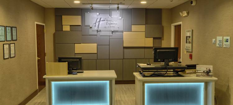 Holiday Inn Express & Suites PELL市(Holiday Inn Express & Suites Pell City)图片