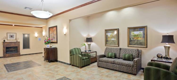 杜马智选假日酒店及套房(Holiday Inn Express & Suites Dumas)图片