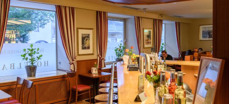 霍切斯特会议酒店(Tagungshotel Höchster Hof)图片