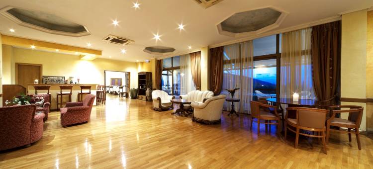 德尔菲广场酒店(Delphi Palace)图片