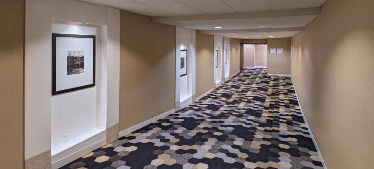 Sheraton Bellevue Hotel图片