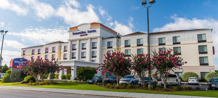 佛罗伦萨万豪SpringHill酒店(SpringHill Suites Florence)图片